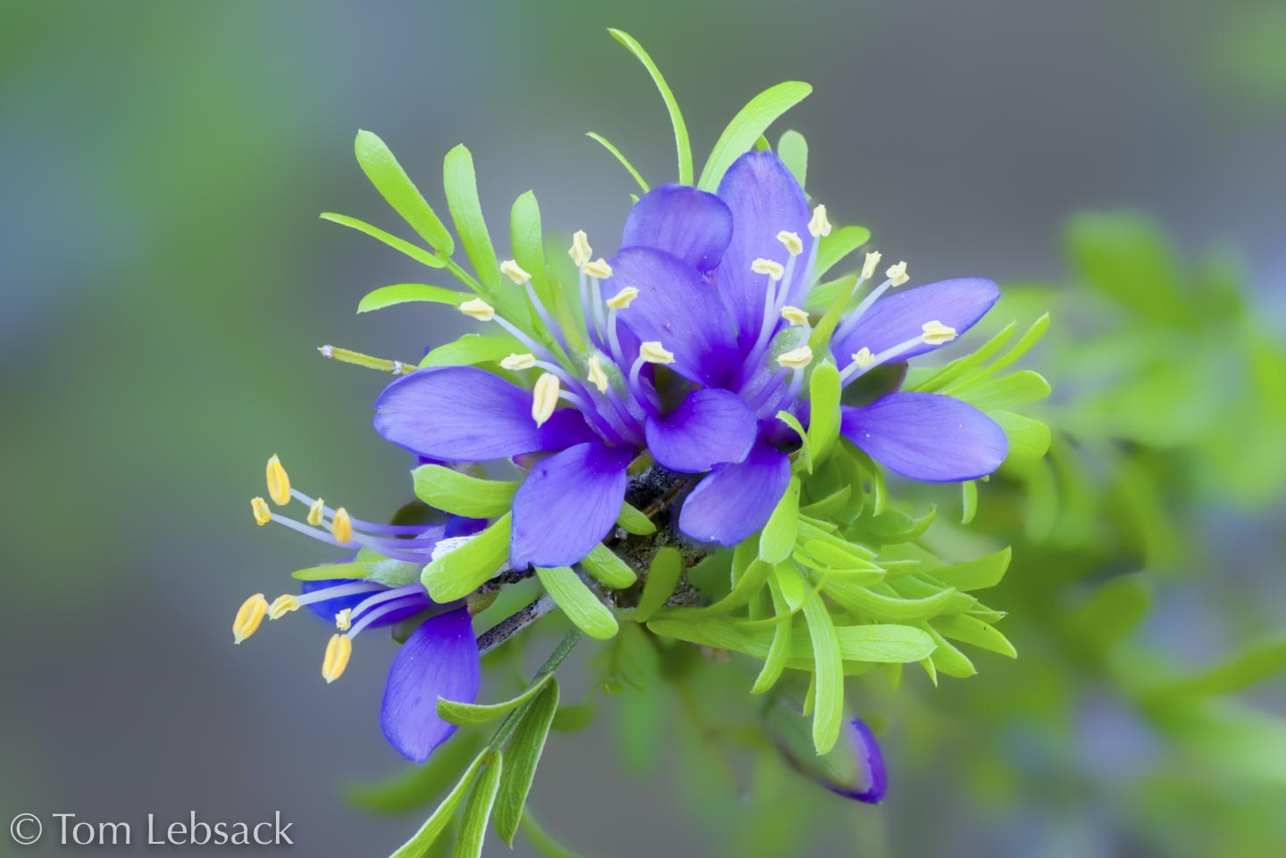 2018 04-17%2013-18-07%20%28A,Radius8,Smoothing4%2932-2-Edit