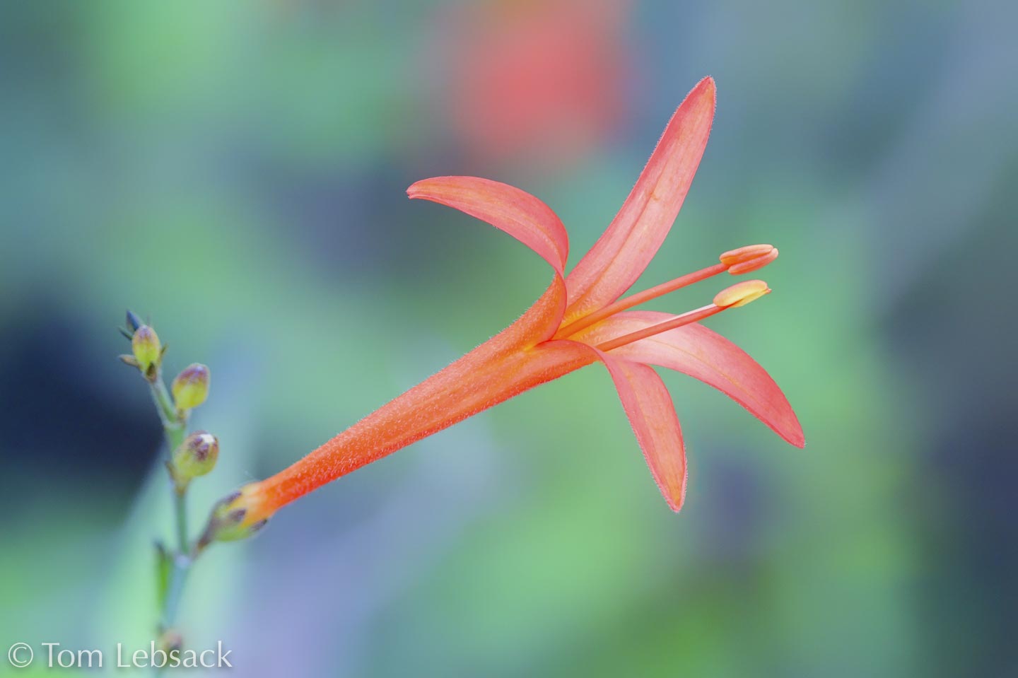 2018 04-17%2013-18-07%20%28A,Radius8,Smoothing4%2932-2-Edit