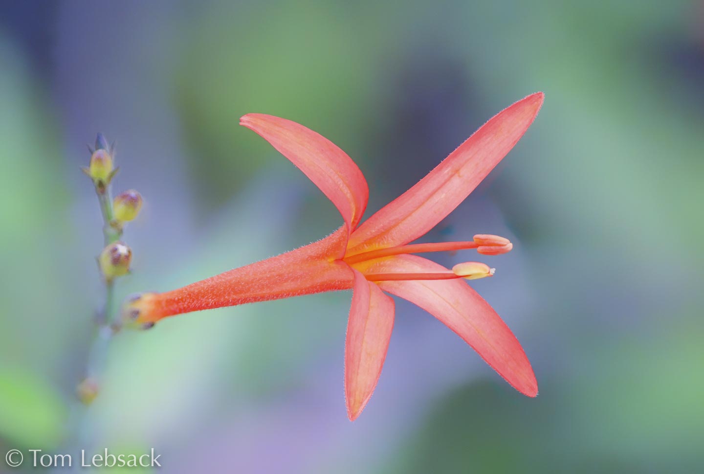 2019 04-21%2019-40-39%20%28A,Radius8,Smoothing4%2931-2