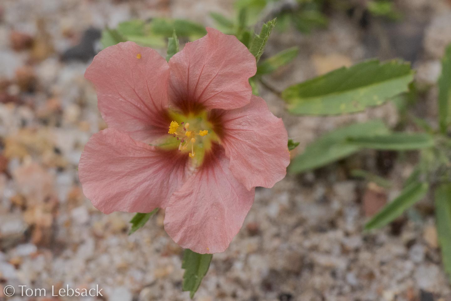 2018 04-17%2013-18-07%20%28A,Radius8,Smoothing4%2932-2-Edit