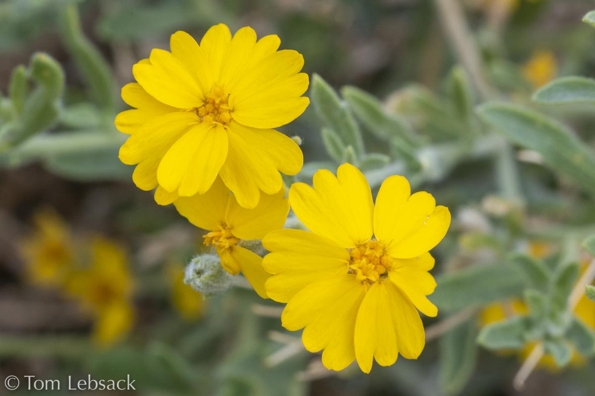 2020 11-13%2007-23-26%20%28B,Radius8,Smoothing4%2914-2-Edit