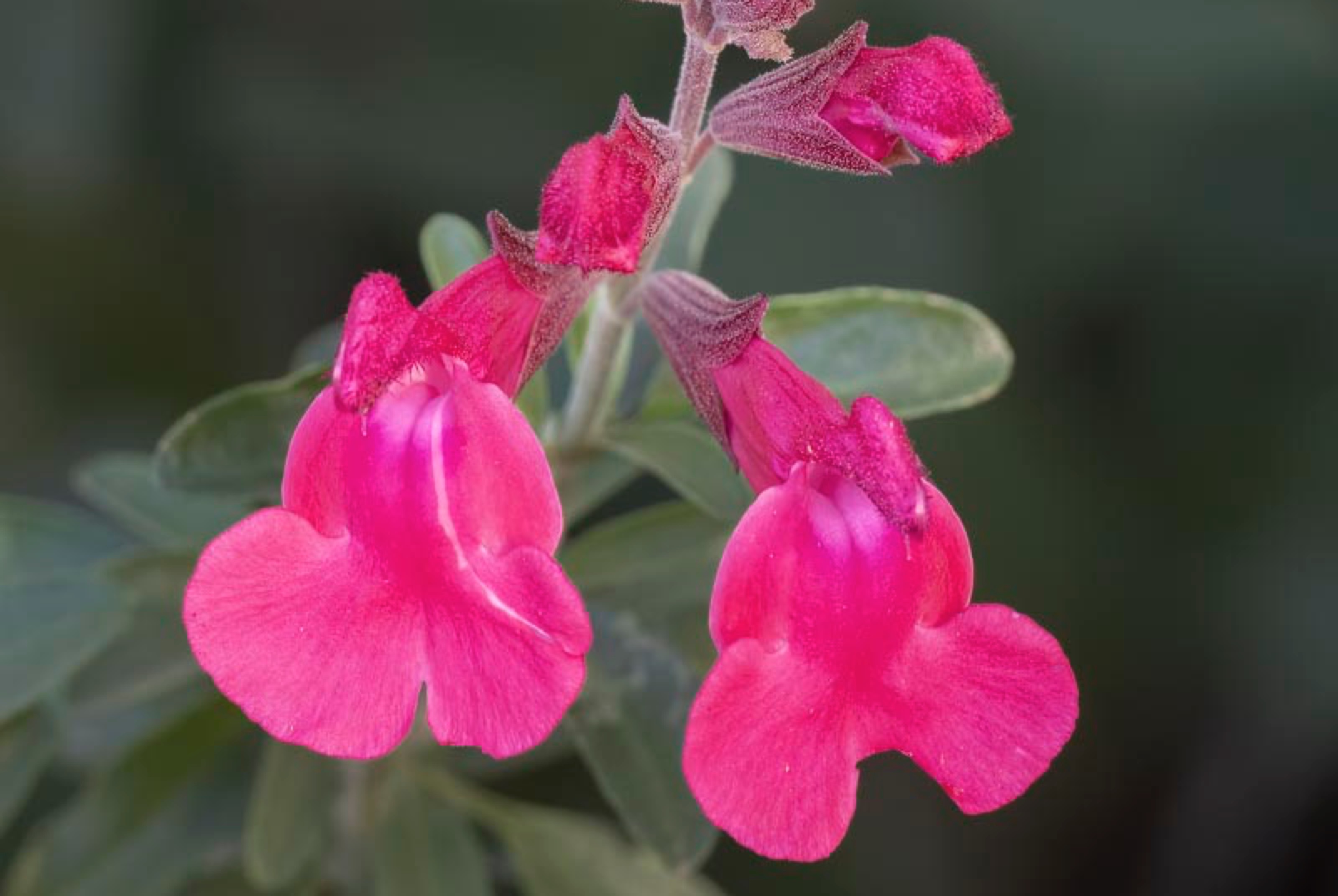 2017 05-16%2016-47-14%20%28A,Radius8,Smoothing4%299-2