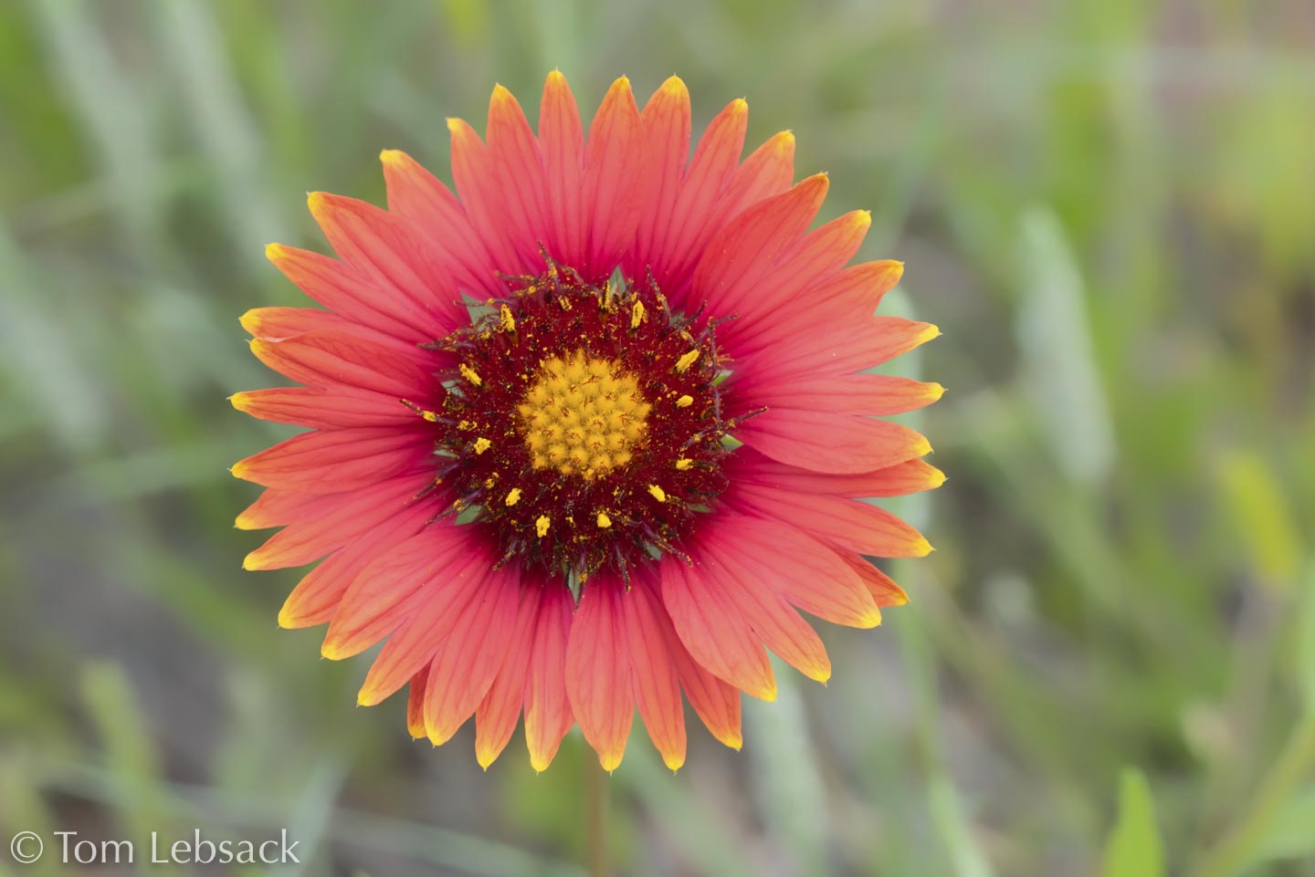 2017 04-10%2016-00-17%20%28A,Radius8,Smoothing4%2910-2-Edit-Edit