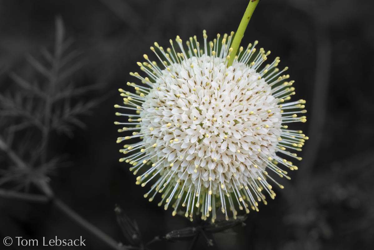 2019 03-26%2016-20-17%20%28A,Radius8,Smoothing4%2911-2-2-Edit-Edit