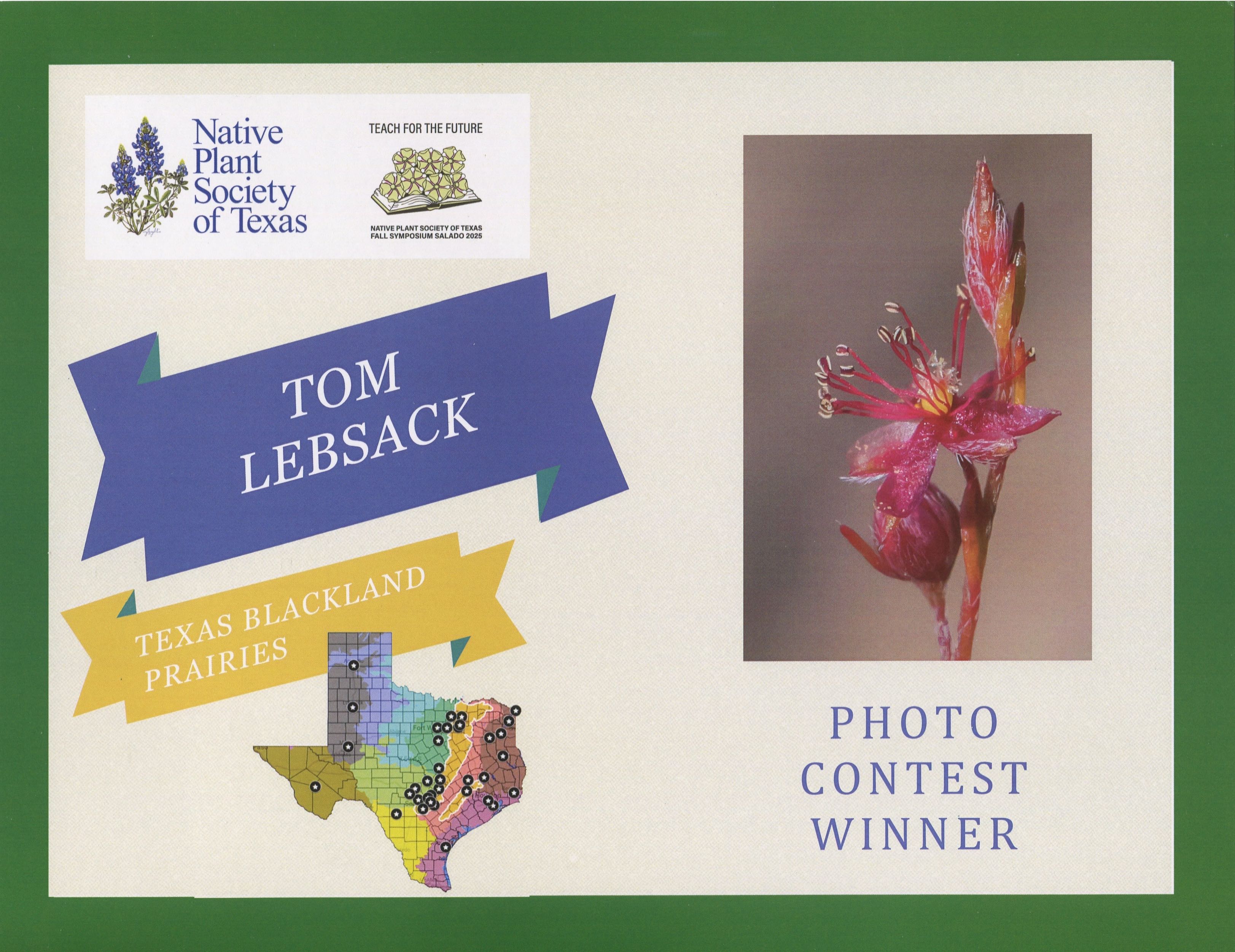 D81_3194 Edit-2-DeNoiseAI-2