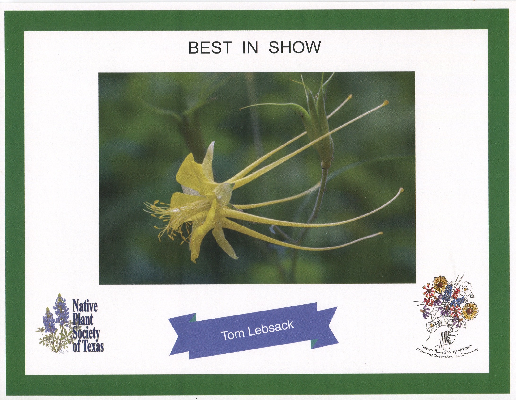 2017 05-16%2016-47-14%20%28A,Radius8,Smoothing4%299-2