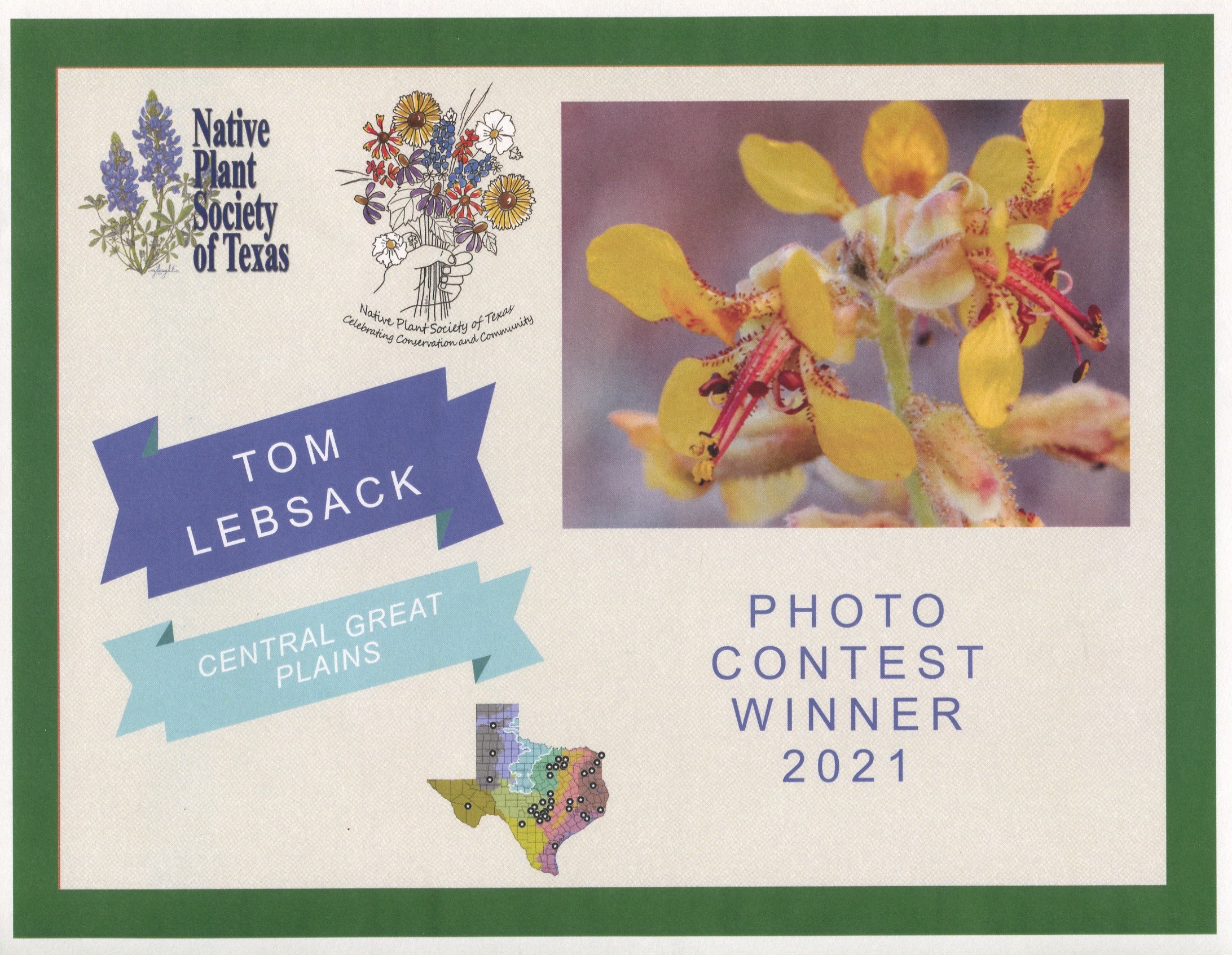 2017 05-16%2016-47-14%20%28A,Radius8,Smoothing4%299-2