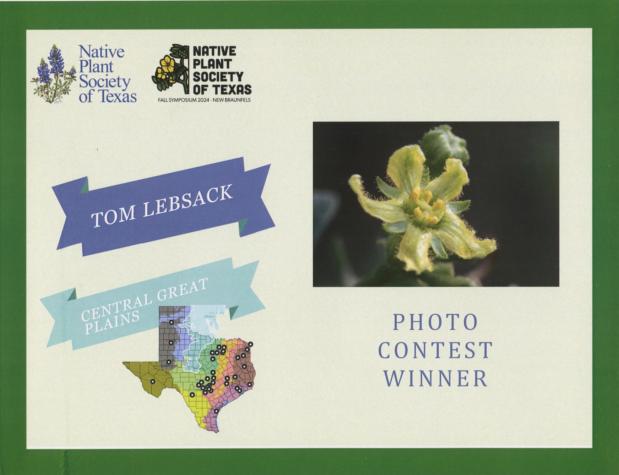 D81_3194 Edit-2-DeNoiseAI-2