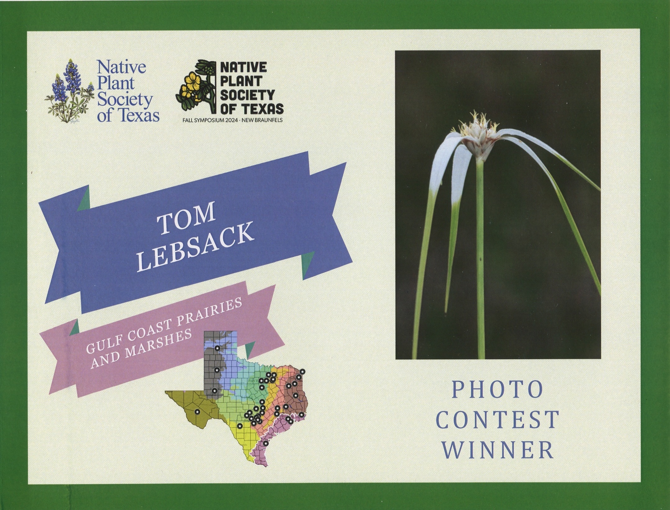 D81_3194 Edit-2-DeNoiseAI-2