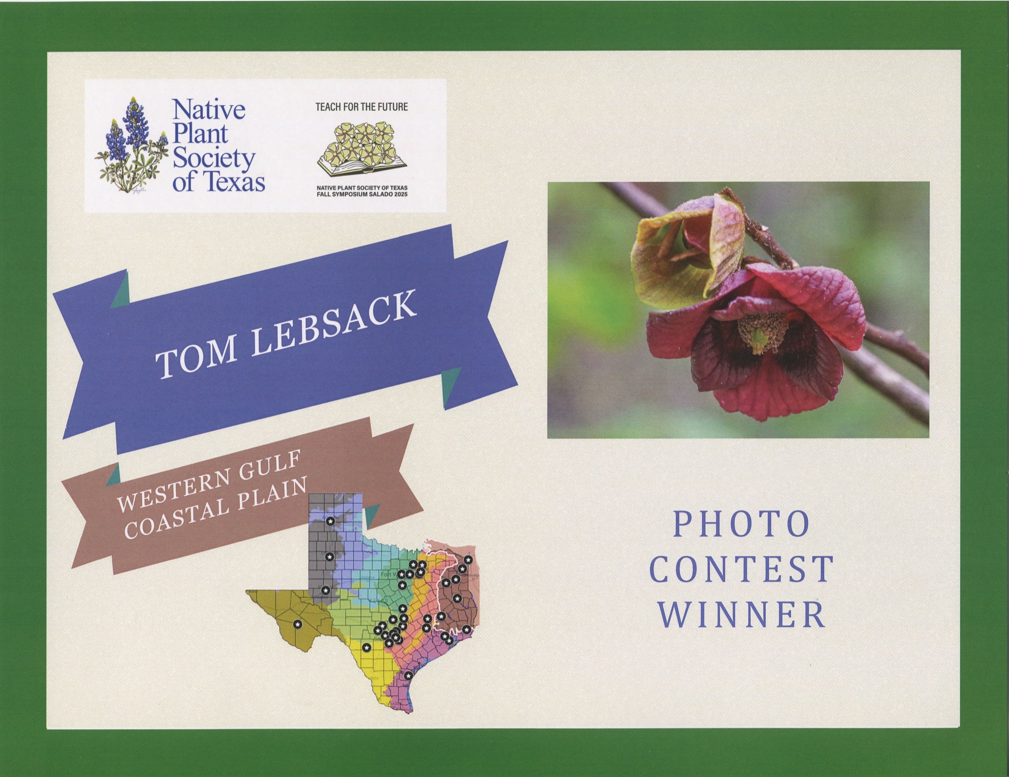 D81_3194 Edit-2-DeNoiseAI-2