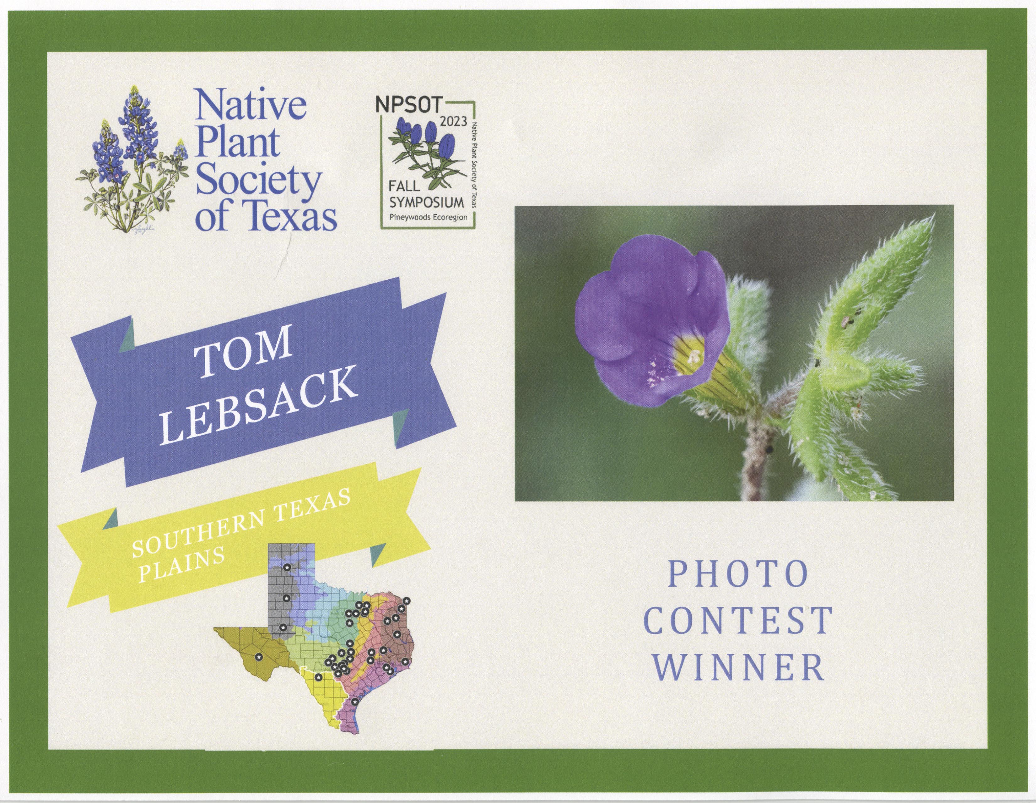 D81_3194 Edit-2-DeNoiseAI-2