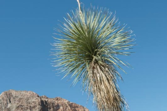 _DSC4585 Edit%20Small